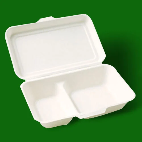 Thermocol Containers